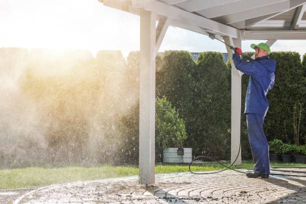 Best Fleet Vehicle Washing  in Tylertown, MS
